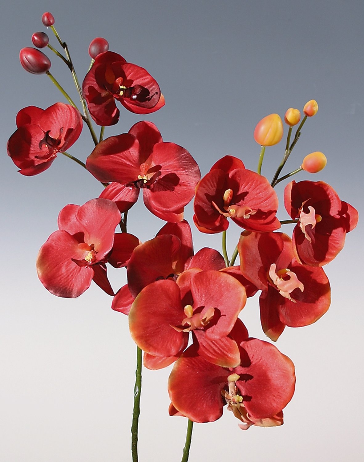 2368 660 a2 Искусственная орхидея Phalaenopsis, 75 см, осенне-коричневая H-andreas 