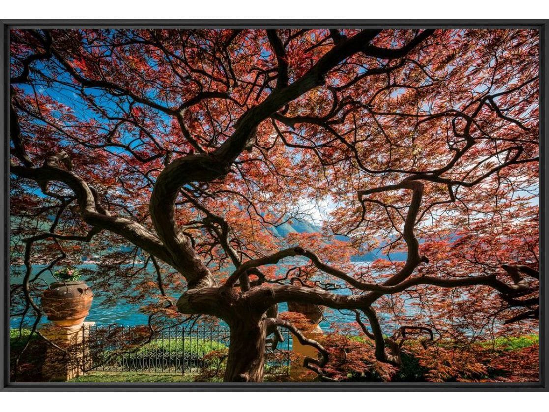 Печать фотографий на бумаге YellowKorner пейзаж ARCH-00114594 - Вид №1