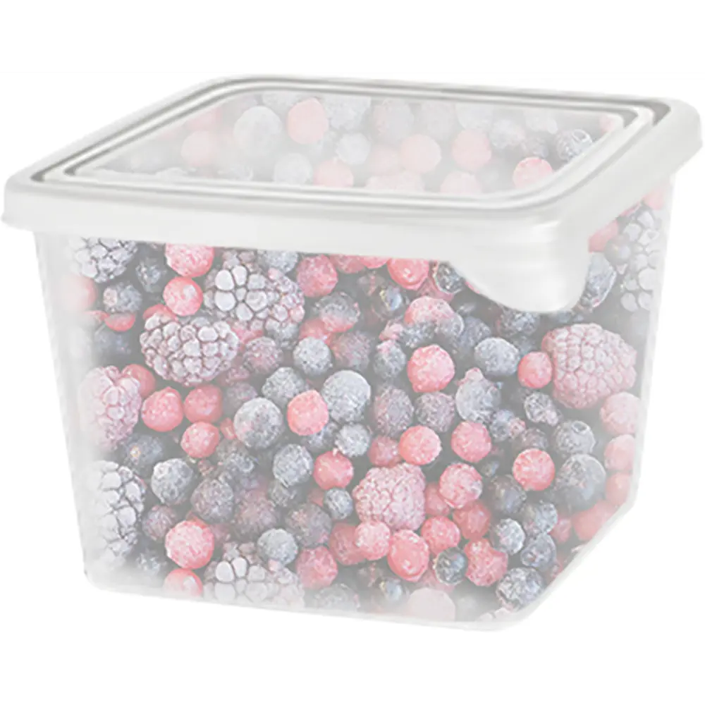 Емкость для заморозки Plast Team 0.75 л пластик цвет прозрачный 3 шт STLM-2020988