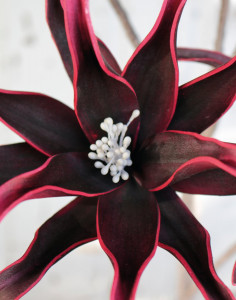 7893 490 a3 Искусственный мягкий цветок 'экзотика', 5 цветков, 115 см, красно-черный H-andreas