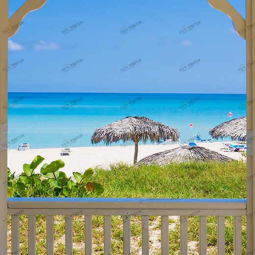 B1-060 Фотообои DIVINO Collection B 2.7х2 м B1060