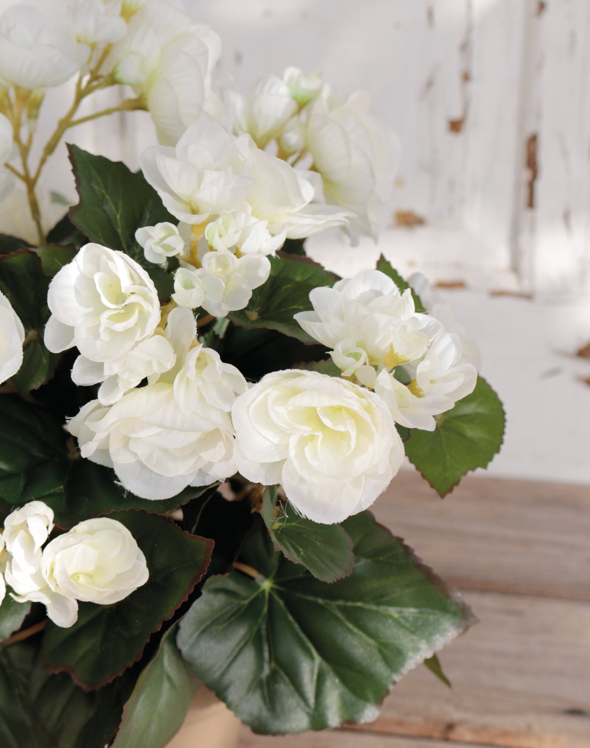 9715 777 a3 Бегония искусственная, горшечная, 30 см, белая H-andreas  - Вид №3