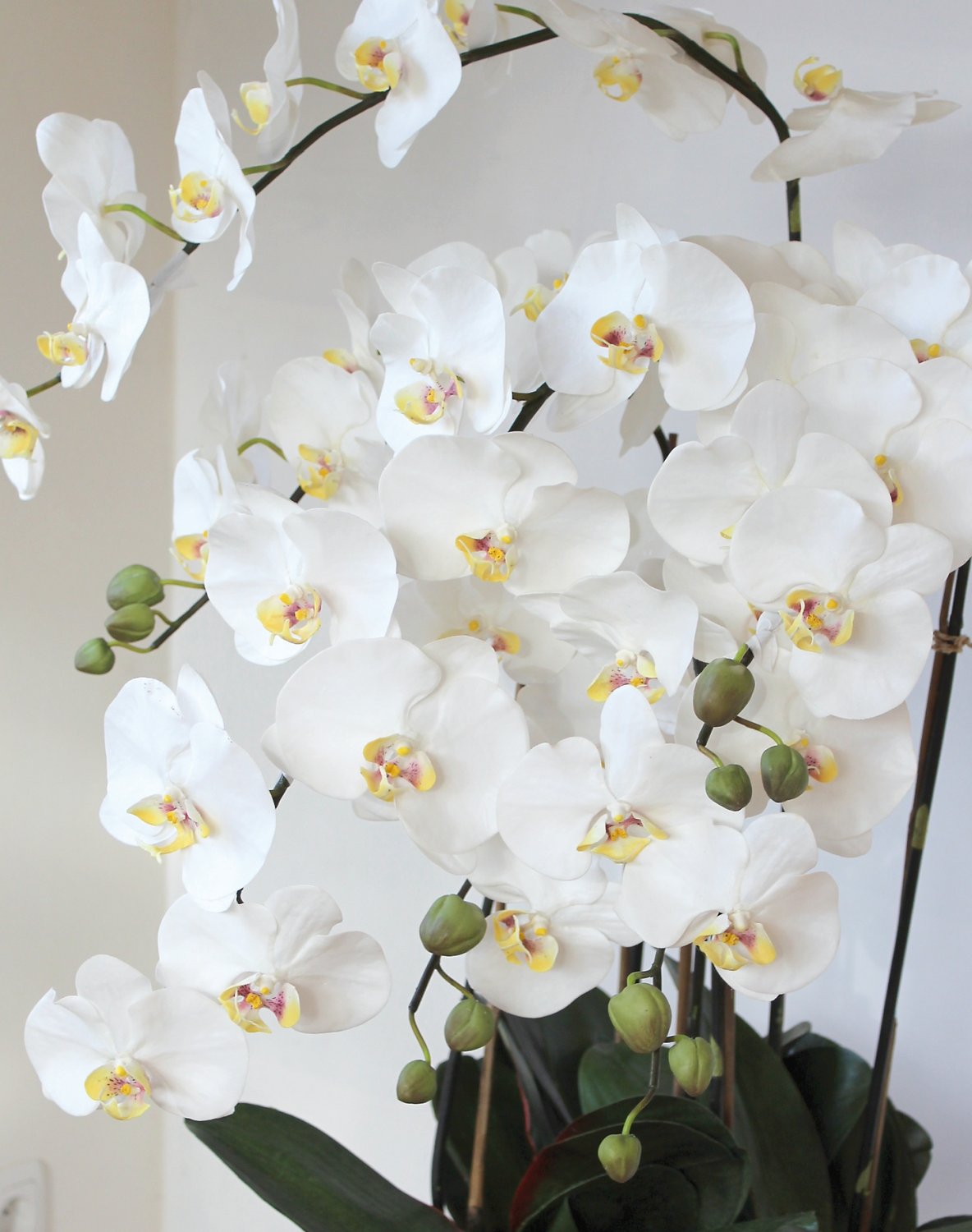 2840 778 a3 Пластиковая орхидея Phalaenopsis, 6-кратная, горшечная, 155 см, real touch, бежево-белая H-andreas  - Вид №3