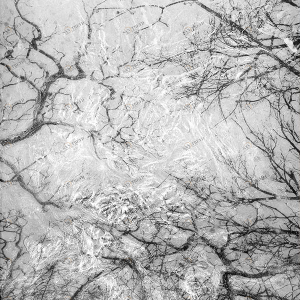 Арт-панель на холсте Alex Turco Organic Dark Limbs DARKLIMBS