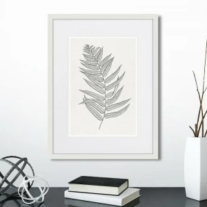 Картина белая 42х32 см The Fern Collection №4 КАРТИНЫ В КВАРТИРУ  00-3894676 Белый