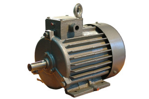 15979644 Крановый электродвигатель ДМТКF 112-6 У1 IM 1002 02487 ТМ БЭЗ