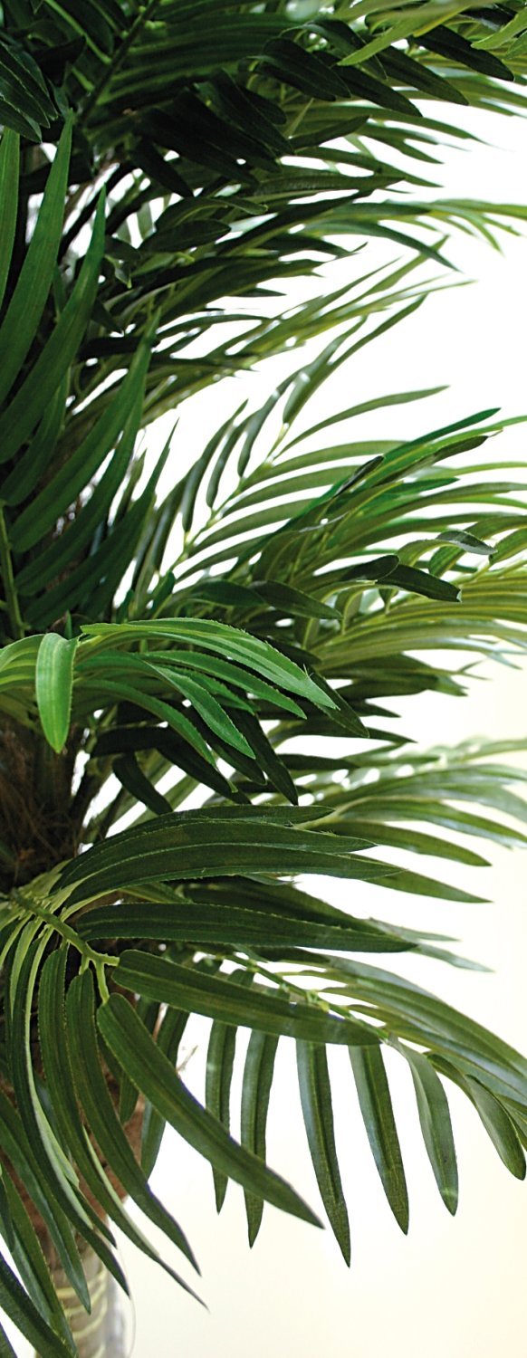 5727 883 a3 Искусственная пальма, 3 ствола, в горшке, 150 см, зеленая H-andreas  - Вид №1