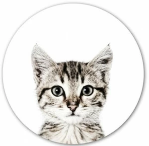 Groovy Magnets Клейкий мотив украшения Animal