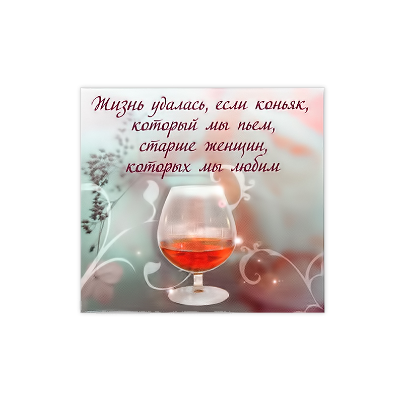 1006 Магнит ПВХ 8.5 x 5 см Жизнь удалась… Santreyd 