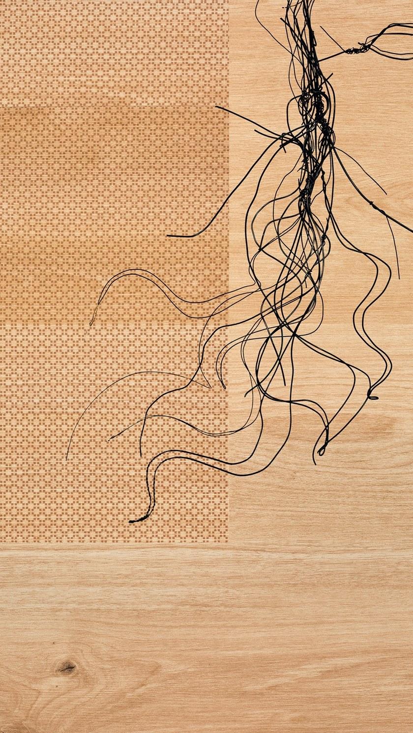 TARKETT Виниловый пол под дерево Id supernature & tattoo sun-id-1474150 - Вид №2