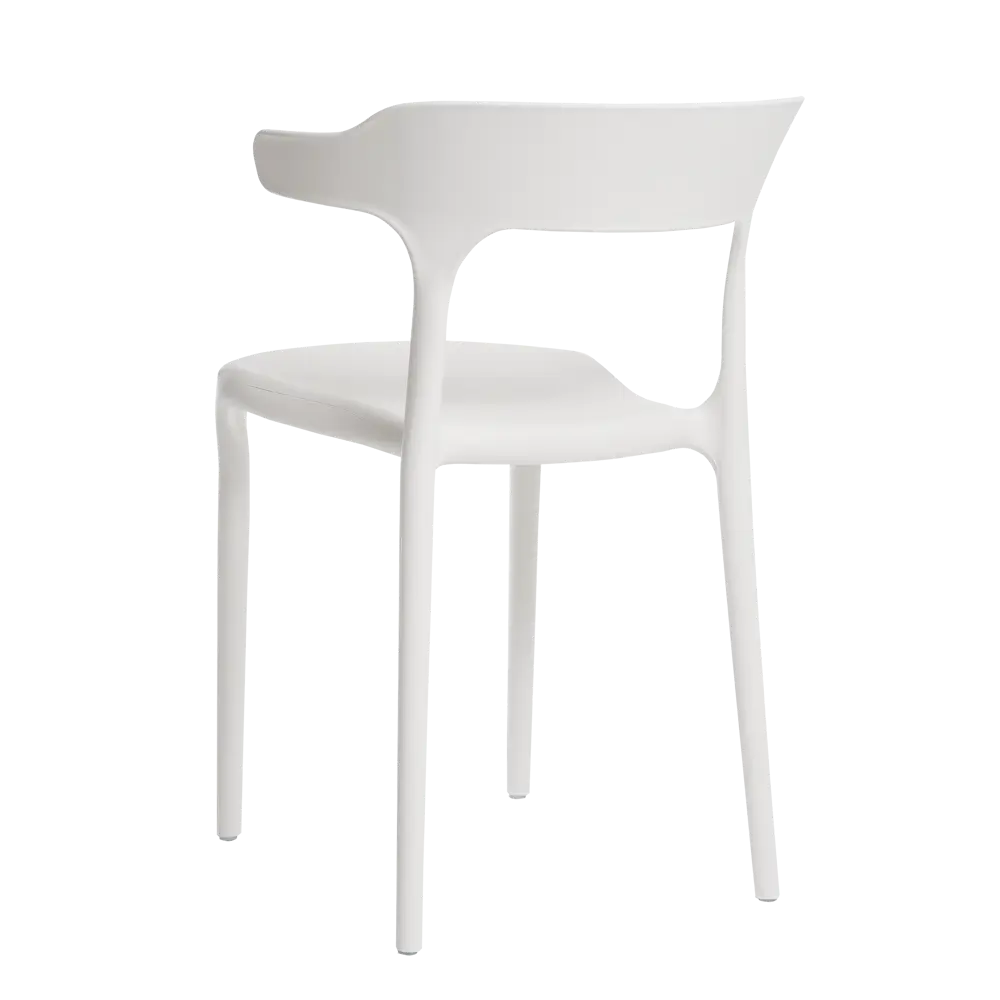 Santreyd Roero — современный стул для стильного интерьера 89316079 STLM-0869685 - Вид №2