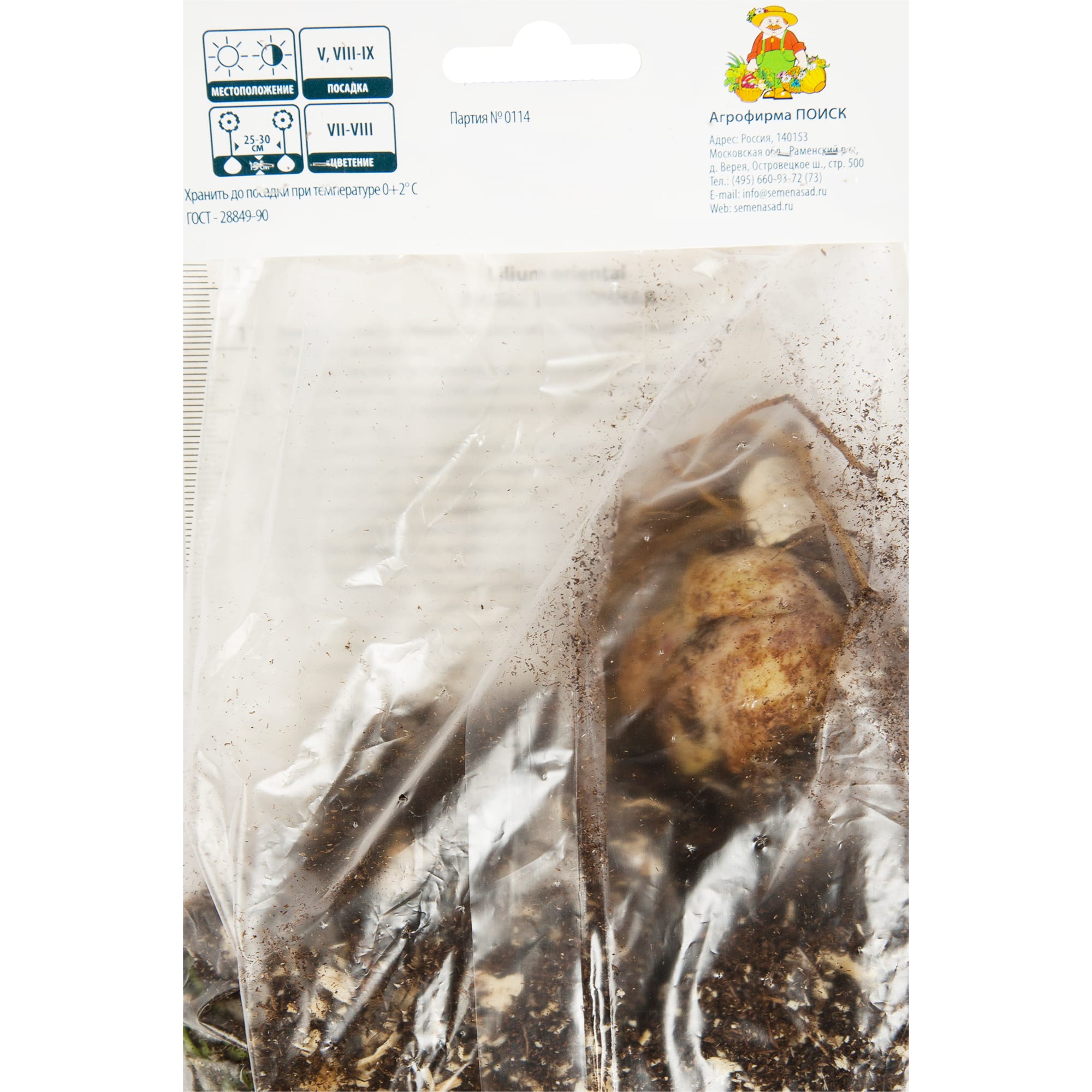 82319569 Лилия восточная «Легенда», размер луковицы 14/16 Santreyd  - Вид №1