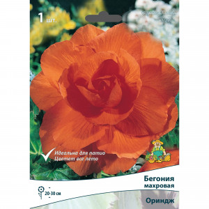83593715 Бегония махровая Ориндж луковица 5/6