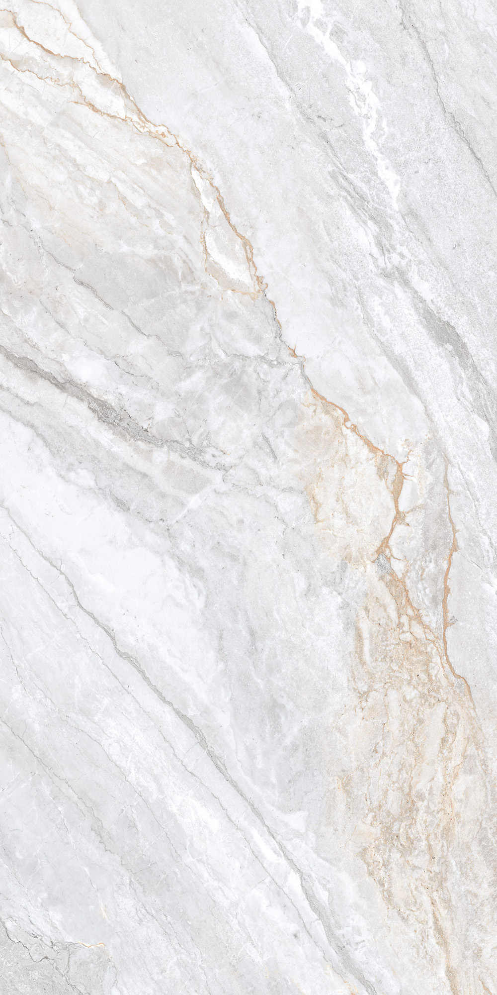 Керамогранит TRIVOLA BIANCO LAPPATO 60х120 Arcadia Ceramica CL4006-A - Вид №5