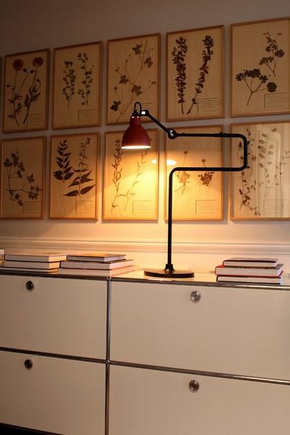 DCW éditions Настольная лампа регулируемая с гибким кронштейном Lampe gras sun-id-1493410 - Вид №1