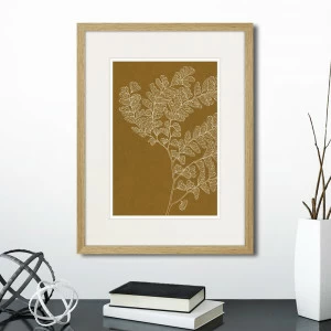 Картина 42х32 см The Fern Collection №16 КАРТИНЫ В КВАРТИРУ  00-3894677 Коричневый