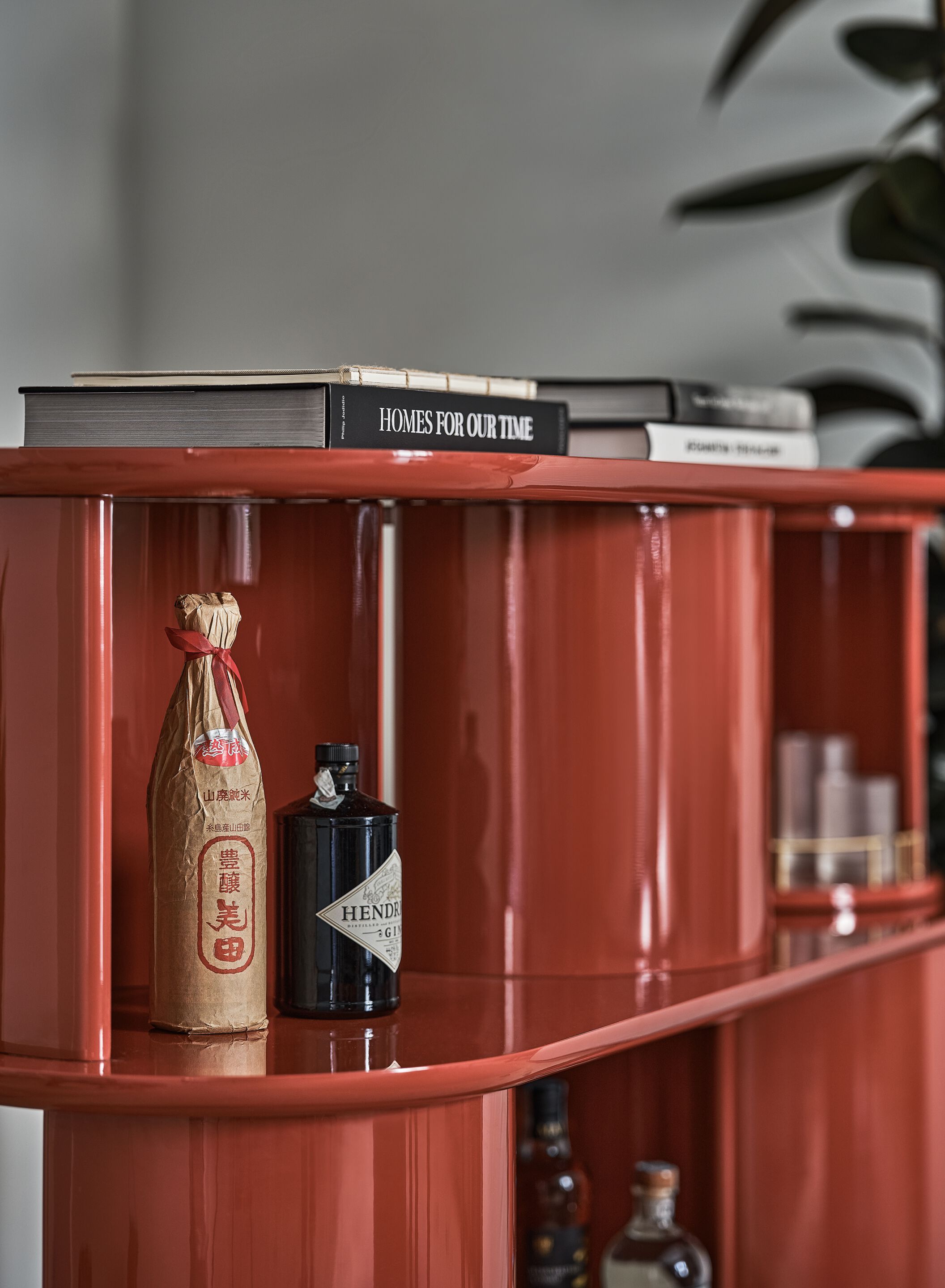 Деревянный книжный шкаф Gallotti&Radice Прятки ARCH-00095545 - Вид №7