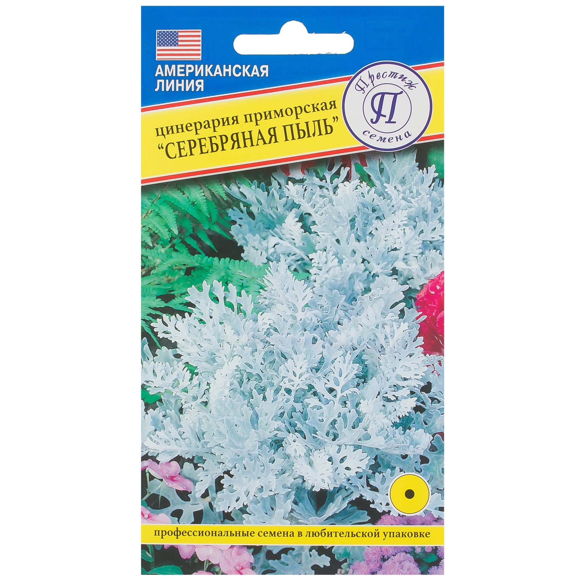 81931619 Цинерария «Серебряная пыль» Santreyd 