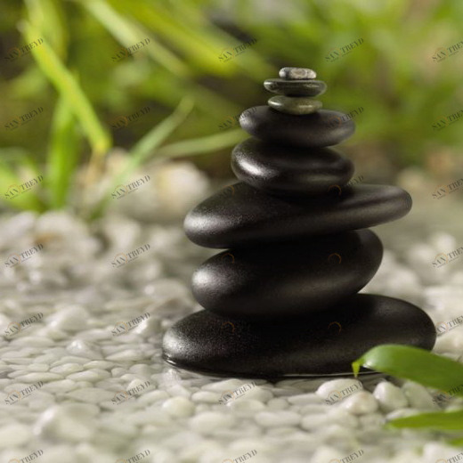 1-612-Feng-Shui Фотообои Komar National Geographic 1.27х1.84 м 1612FENGSHUI