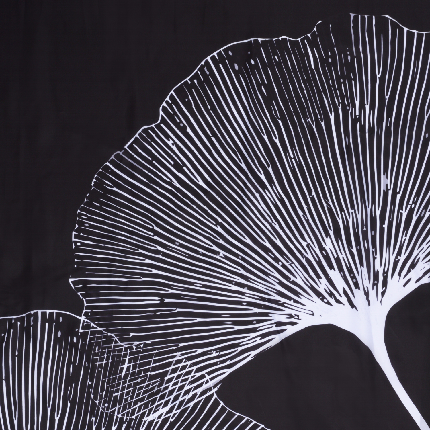 SC-77102 Nau Шторка для ванной WasserKRAFT  - Вид №5