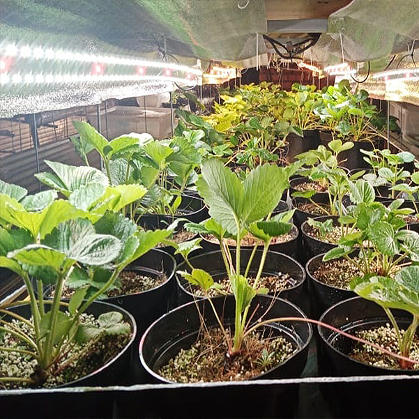 3553 Комплект Quantum line 115 см LAB.Space  - Вид №9