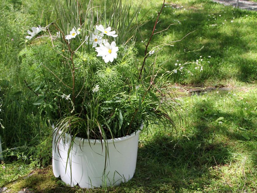 Nola Industrier Сеялка из стали с порошковым покрытием sun-id-1443759 - Вид №2