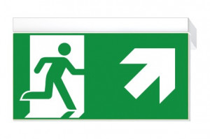 DST-4028 Ikus 2211-p Daisalux Светильники и спец. Белый