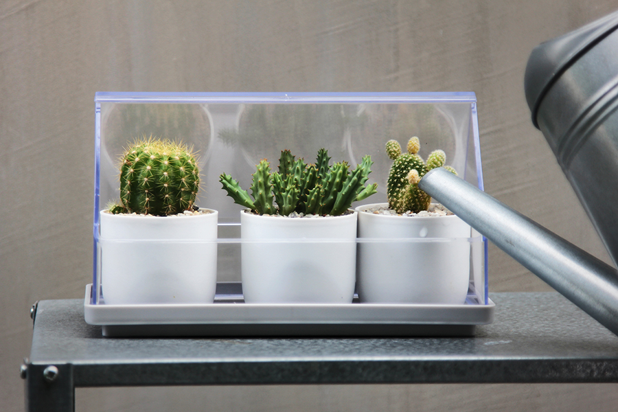 QL10310-CL-GY Лоток для выращивания растений micro green house прозрачный Qualy  - Вид №2