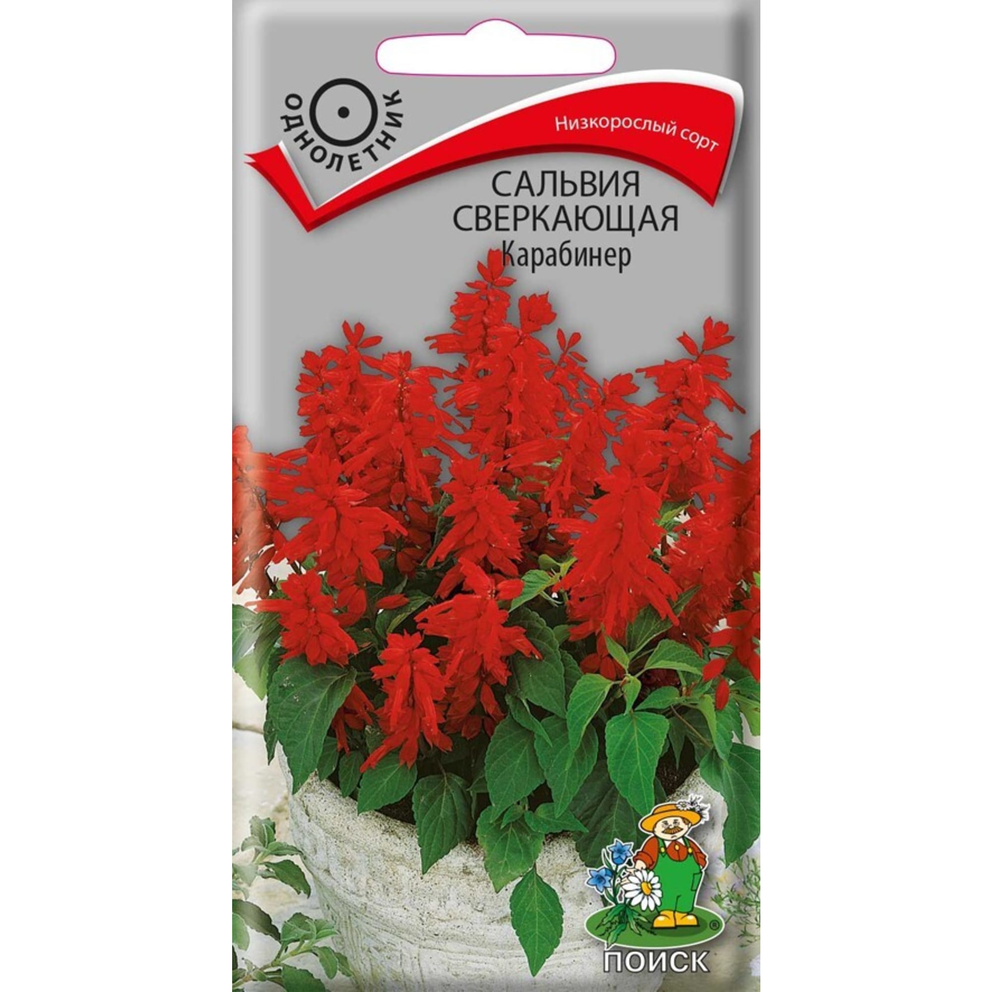 83227388 Семена Сальвия Сверкающая «Карабинер» Santreyd 