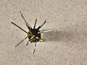 Viva Мозаика из керамогранита 99 volte