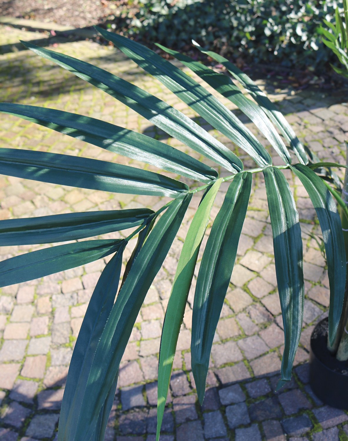 5451 883 a3 Искусственная пальма Kentia, горшечная, 210 см, зеленая H-andreas  - Вид №9