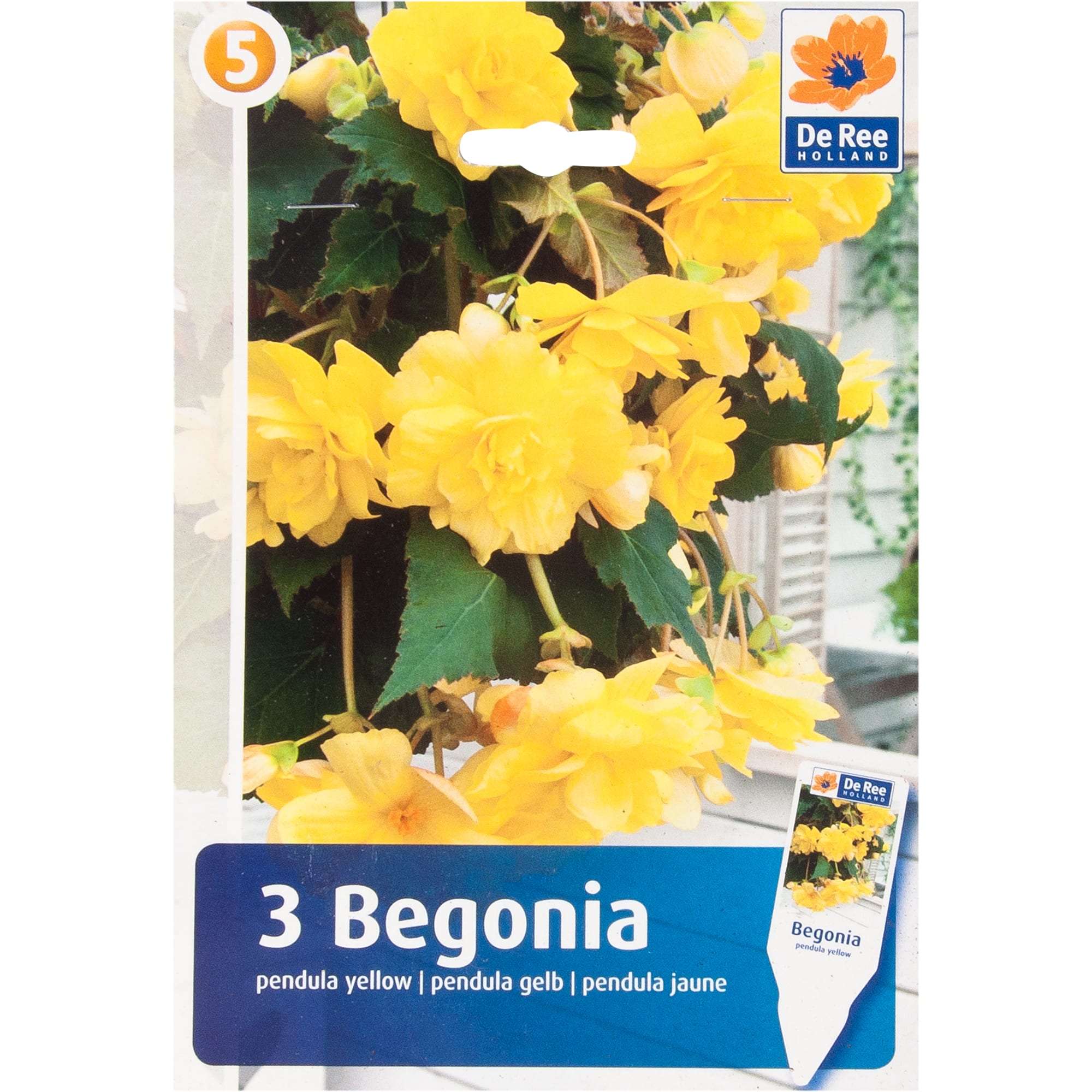 82539276 Бегония ампельная жёлтая Santreyd 