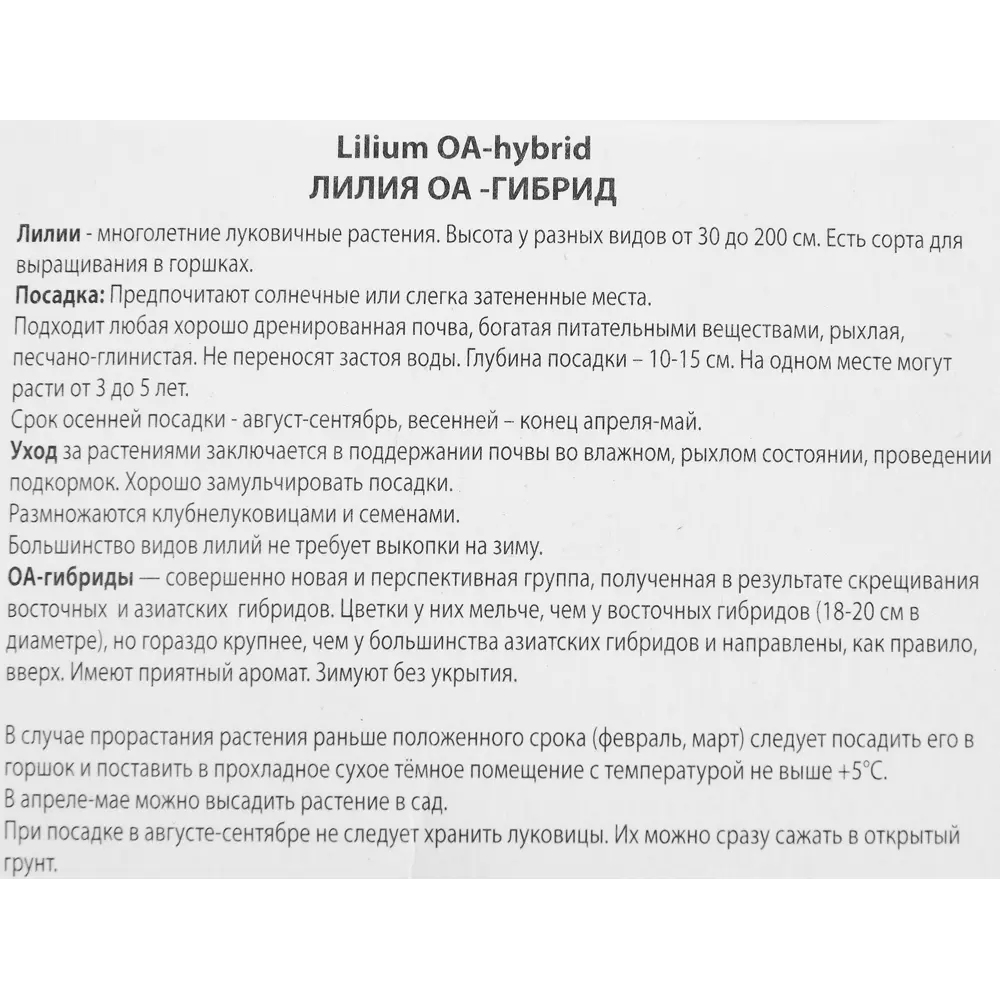 Лилия оа-гибрид Отель Калифорния 85205729 STLM-2154589 ПОИСК  - Вид №2
