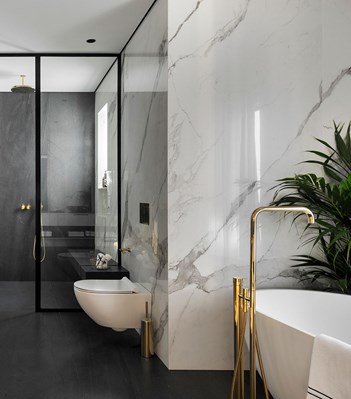 FS1 Ванна vola  - Вид №77