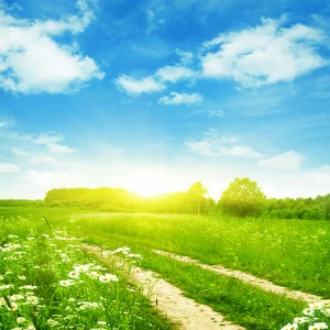 D2-078 Фотообои DIVINO Collection D 2.7х3 м