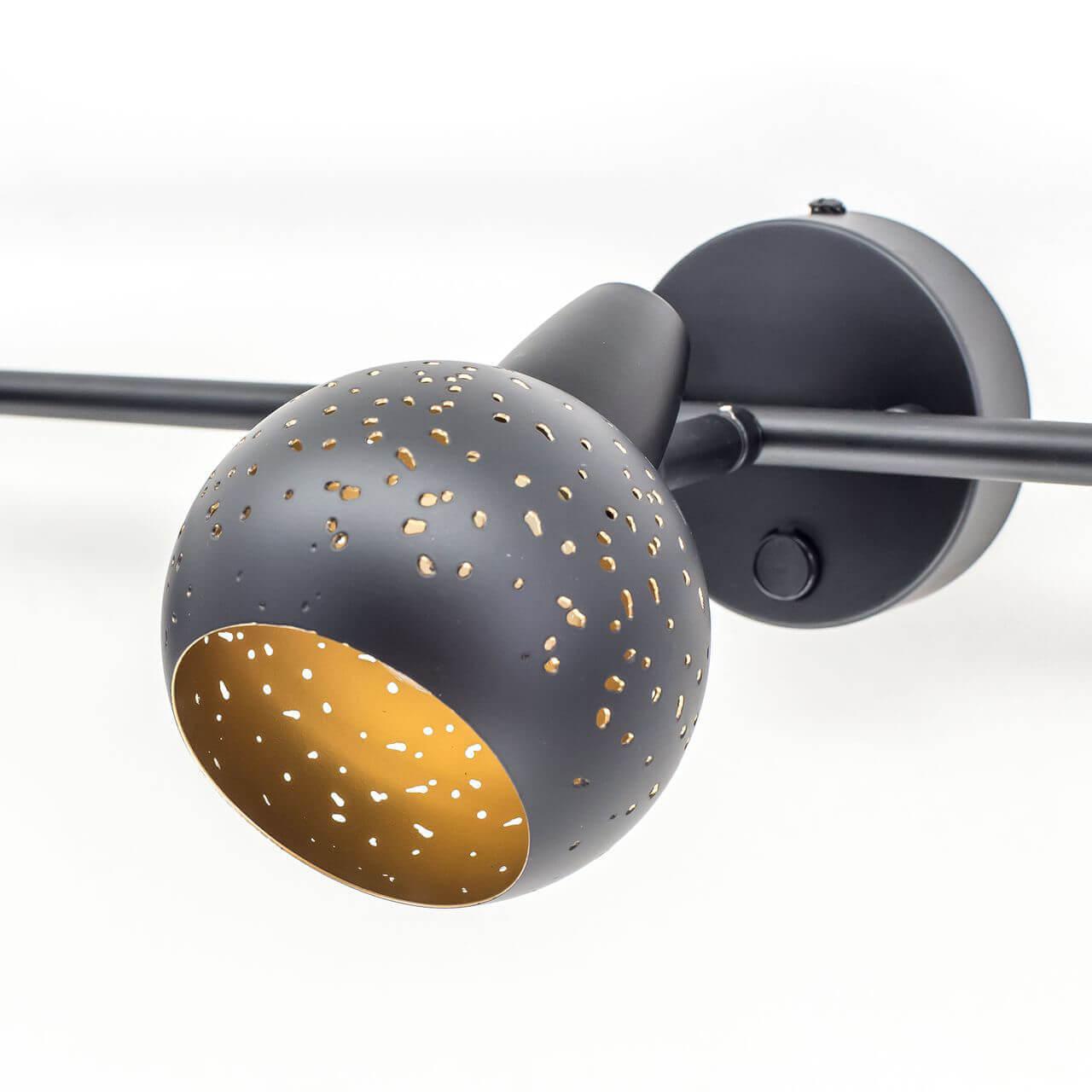 Спот настенный на 3 лампы черный "Деко" CL504532 CITILUX ДЕКО 00-3924356 Черный - Вид №2