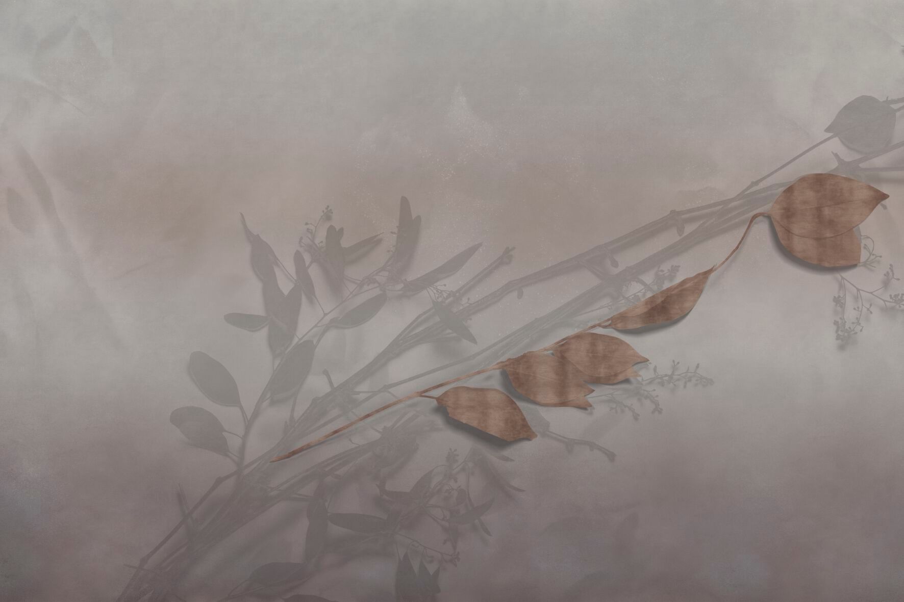 Панорамные обои GLAMORA Творческая коллекция, глава XIV ARCH-00000810 - Вид №3