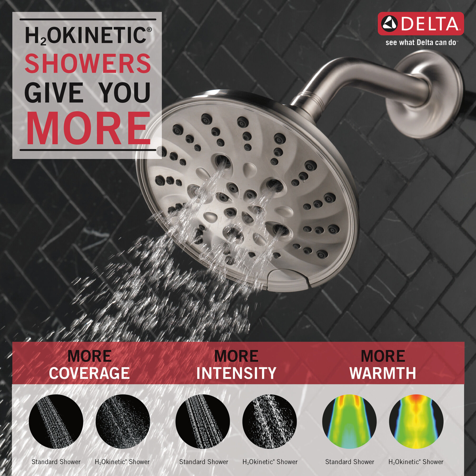 H2Okinetic® Традиционная душевая лейка Raincan с 5 настройками Delta Faucet 52669-SS - Вид №1