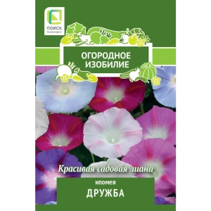 ПОИСК Ипомея Дружба - разноцветный однолетник для солнечных участков 83577521