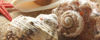 Сиерра Панно Тип 4 20х50 Керамин sun-id-331693