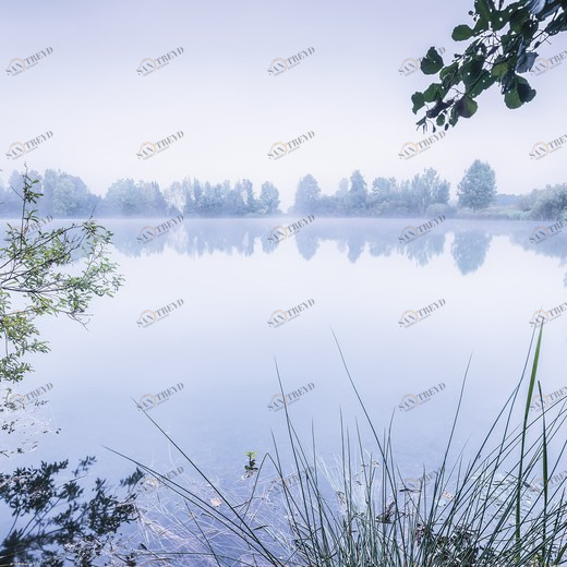 SH002-VD1-Morning-View Фотообои Komar Stefan Hefele 1х2 м SH002VD1MORNINGVIEW