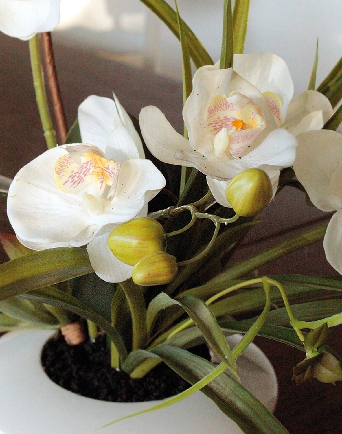 2768 778 a3 Пластиковая орхидея Phalaenopsis с суккулентами, горшечная, 55 см, бежево-белая H-andreas  - Вид №4