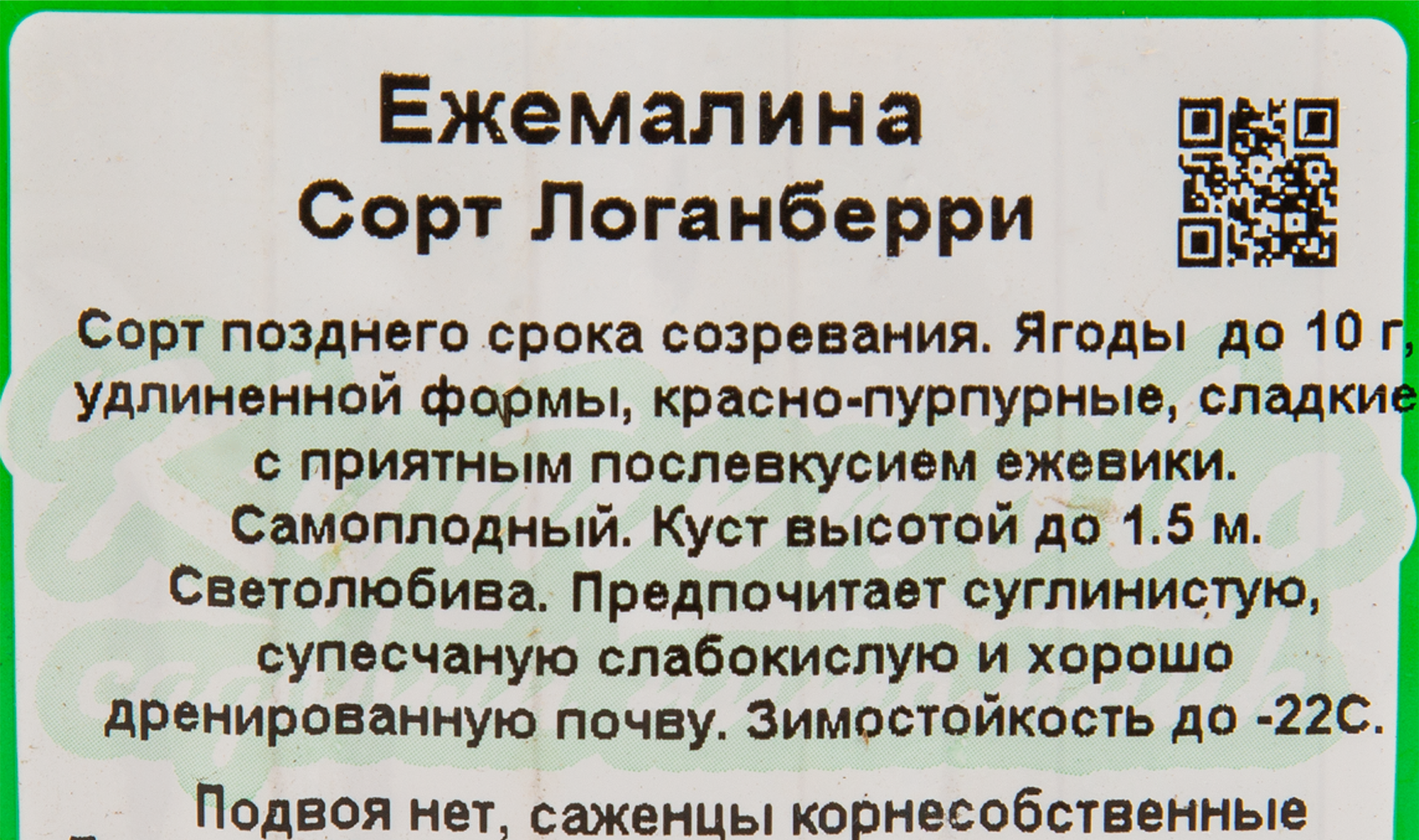 Ежемалина С1 Santreyd - гибридный саженец с двойным вкусом 18321321 STLM-0010266 - Вид №2