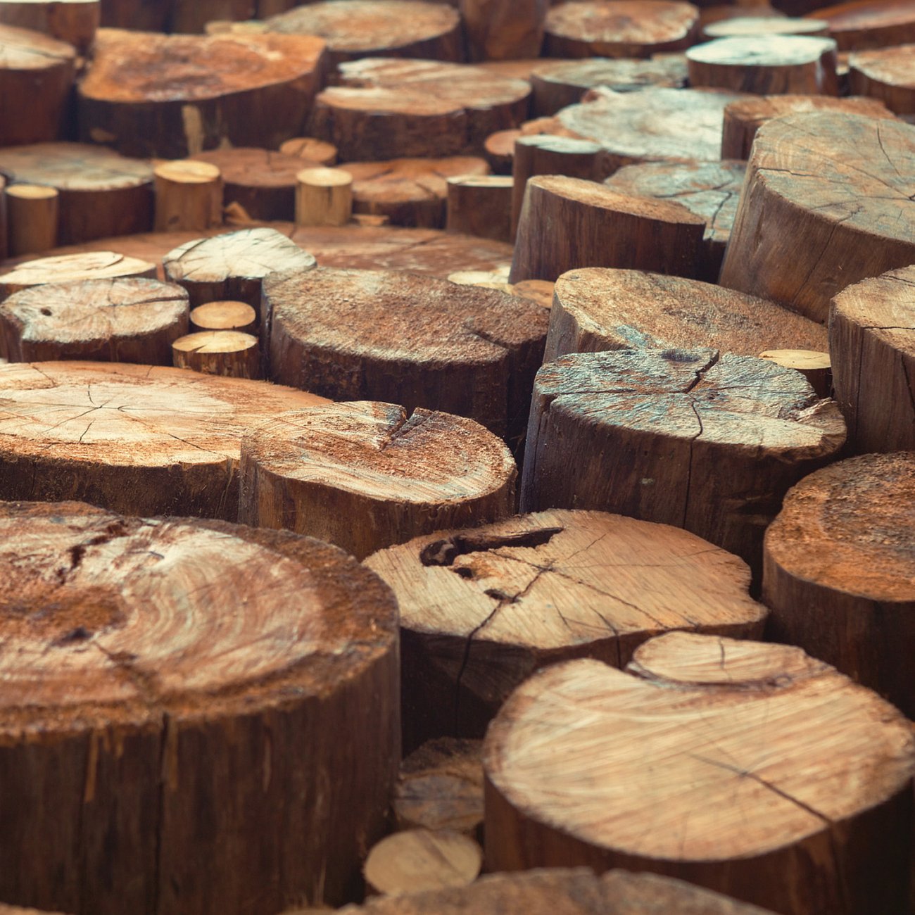 Ароматический воск 75гр. "Тиковое дерево" Mahogany Teak CANDLE WARMERS  268200 Бежевый  - Вид №1