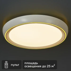 Светильник настенно-потолочный светодиодный влагозащищенный 48019.50.90.77GD 25 м² регулируемая яркость света цвет белый