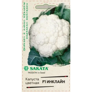Семена Капуста цветная Инклайн F1 83607103 STLM-2184236