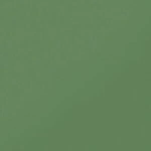 Моноколор CF UF 007 зеленый матовая 600x600