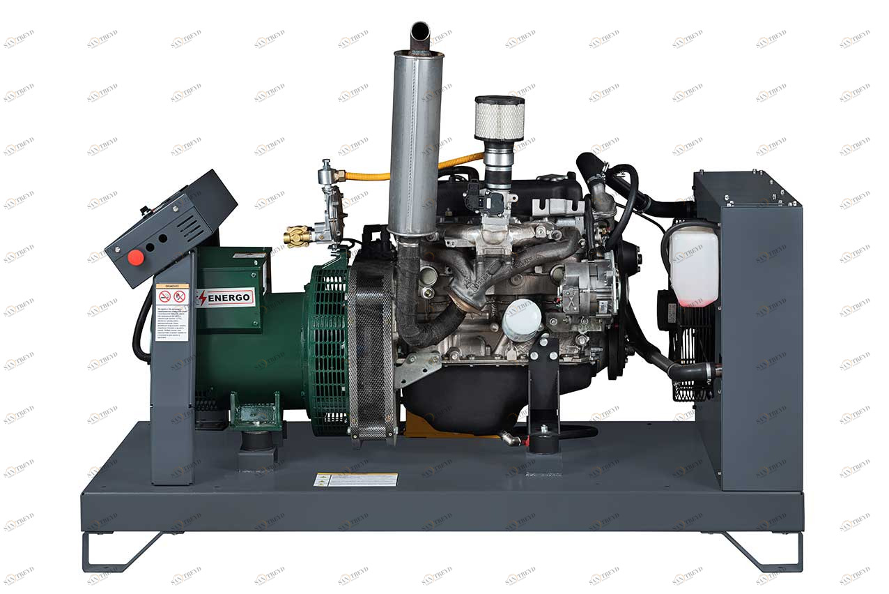 Дизельный генератор Energo EDF 200/400 IV с АВР sun-id-1033949