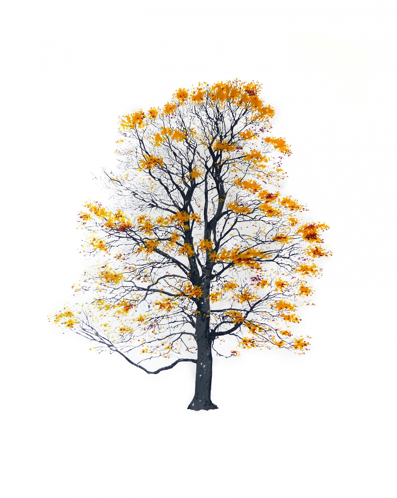 Дерево Magis sun-id-1329002 - Вид №3