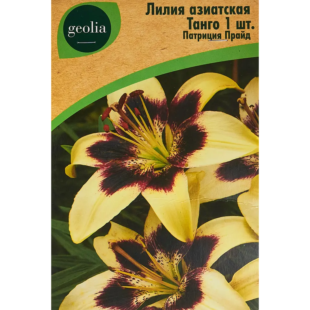 Лилия Geolia азиатская Танго Патриция Прайд 86408620 STLM-2093361 